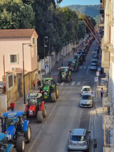 Manifestazione Tutela Bufala num 2