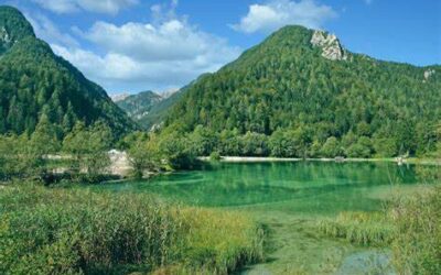 Primo trimestre 2025 della Difesa Civica in Slovenia