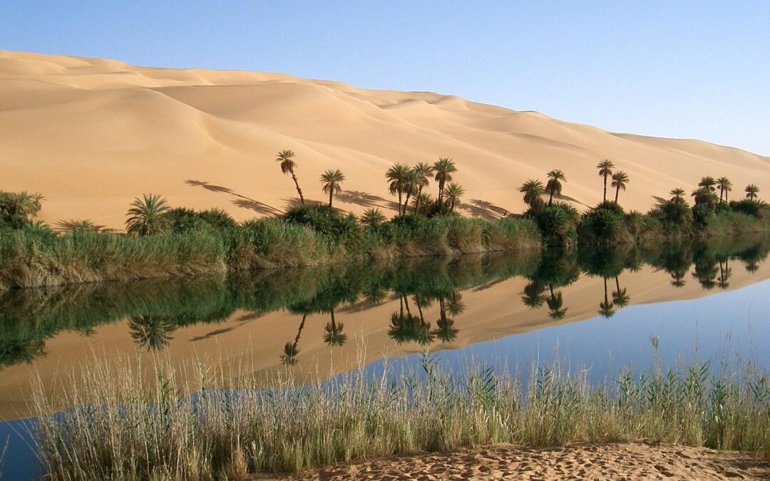 Terzo trimestre della Difesa Civica in Libia