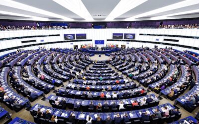 LA NUOVA MEDIATRICE EUROPEA: UNA GRANDE SPERANZA DI DIFESA CIVICA EUROPEA E DI TRASPARENZA DELL’UNIONE EUROPEA