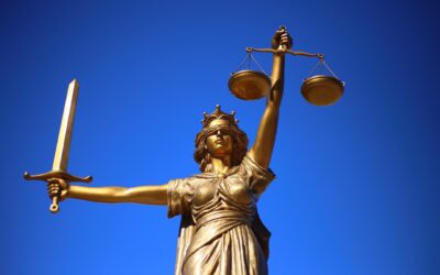 IL DIFENSORE CIVICO, L’ALLEATO