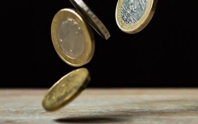 PROMUOVERE TRASPARENZA, INTEGRITÀ E DIRITTI FONDAMENTALI NELL’UNIONE EUROPEA. FAR SENTIRE L’AZIONE DEL MEDIATORE EUROPEO